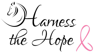 HTH logo